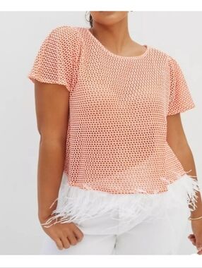 Anthropologie Eva Franco Feathered Knit Orange Top Size XL